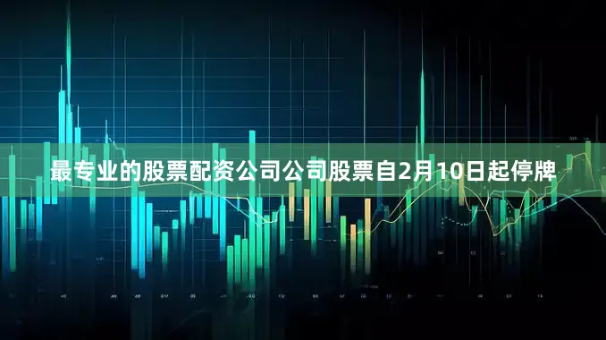 最专业的股票配资公司公司股票自2月10日起停牌