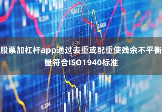 股票加杠杆app通过去重或配重使残余不平衡量符合ISO1940标准