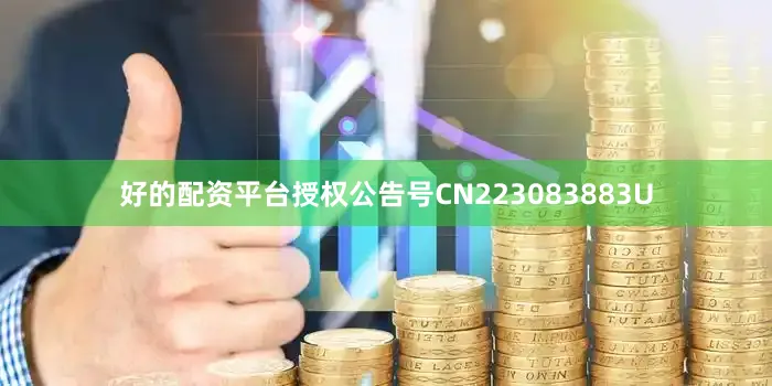 好的配资平台授权公告号CN223083883U