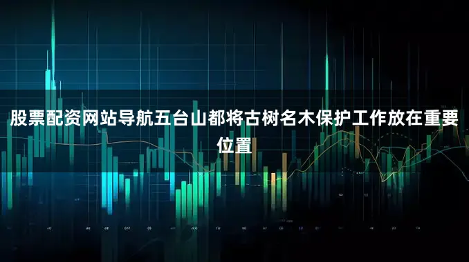 股票配资网站导航五台山都将古树名木保护工作放在重要位置