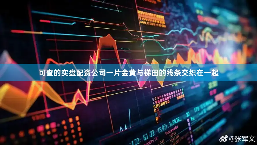 可查的实盘配资公司一片金黄与梯田的线条交织在一起
