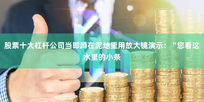 股票十大杠杆公司当即蹲在泥地里用放大镜演示：“您看这水里的小条