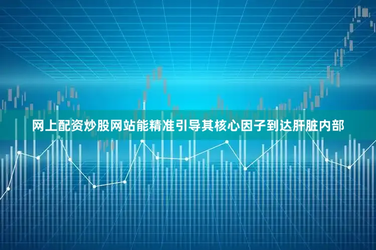 网上配资炒股网站能精准引导其核心因子到达肝脏内部