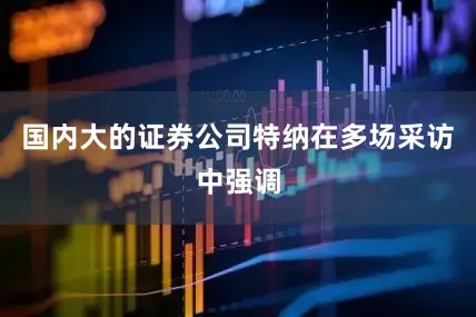 国内大的证券公司特纳在多场采访中强调