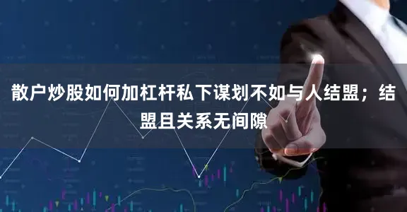散户炒股如何加杠杆私下谋划不如与人结盟；结盟且关系无间隙
